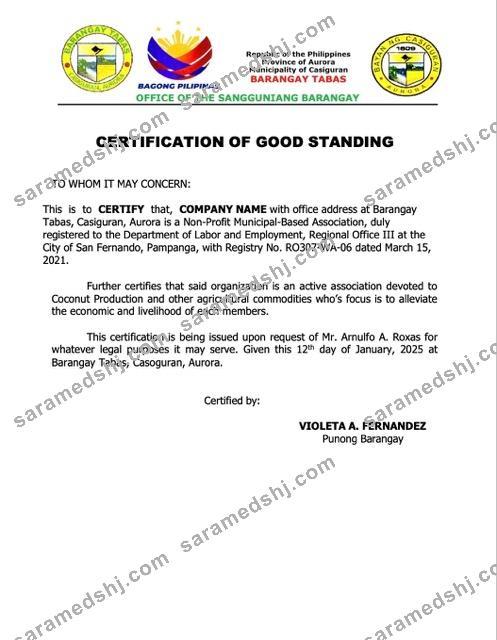 Philippines certification of good standing Word and PDF template, version 4